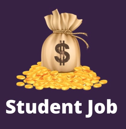Jobs During High School – Pros And Cons